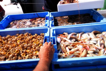 targ ryb i owoców morza w Walencji